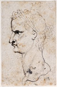 Gaius Caligula, z deseti kreseb osmi z prvních dvanácti Caesarů, po medailích Giovanniho da Cavina (pero a inkoust na papíře) od Peter Paul Rubens