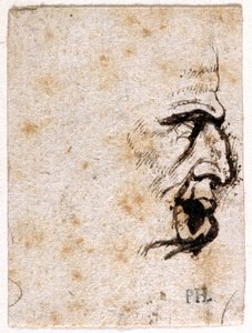 Galba, z deseti kreseb osmi z prvních dvanácti Caesarů, po medailích Giovanniho da Cavina (pero a inkoust na papíře) od Peter Paul Rubens