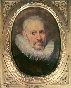 Hlava starého muže (olej na kanafasu) od Peter Paul Rubens