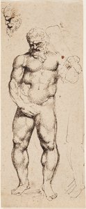Herkules od Peter Paul Rubens