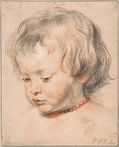 Nicolaas Rubens Wearing a Coral Necklace, asi 1619 od Peter Paul Rubens