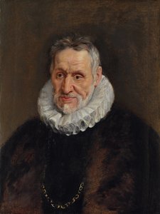 Portrét vousatého muže od Peter Paul Rubens