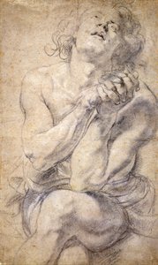 Sedící mužská mládež (studie pro Daniela) od Peter Paul Rubens