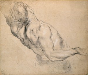 Studie torza nahého muže, 1600-1640 od Peter Paul Rubens
