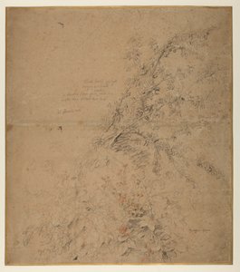 Studium trnky s ostružiní a jinými rostlinami, 1620 circa od Peter Paul Rubens