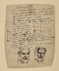 Studie Farnese Herkula od Peter Paul Rubens