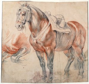 Závěsný od Peter Paul Rubens