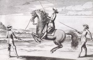 Ilustrace koně en Croupade z New Treatise for Breeding Horses od Winters, Stuterey a Reit-Schul, pub. 1672 od Peter Paul Troschel
