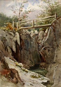 Curmillon, Střední Wales, 1884. od Peter Toft
