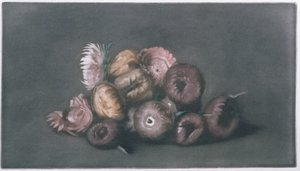 Zátiší ze sušených květin (barevná mezzotinta) od Peter Vilhelm Ilsted
