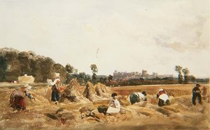 PD.129-1950 Cornfield, Windsor od Peter de Wint