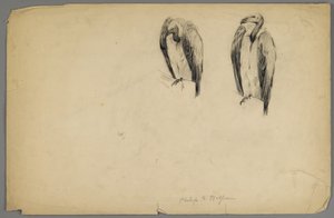 Supi (uhlí na papíře) od Philip H. Wolfrom