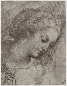 Carlo Dolci, hlava Panny od Philip Henry Delamotte