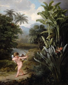 Amor inspirující rostliny láskou, namalováno pro knihu Roberta Thorntona "Nová ilustrace Linnéova pohlavního systému", asi 1797.