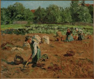 Sklizeň brambor od Philipp Franck