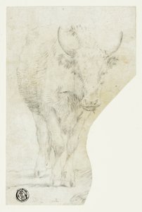 Kráva od Philipp Peter Roos