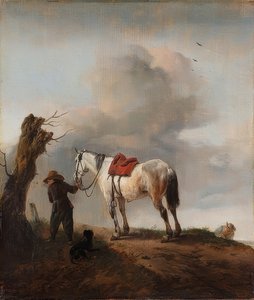Bílý kůň, plíseň. Kolem roku 1646 od Philips Wouwerman