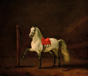 Bílý kůň ve stáji od Philips Wouwerman