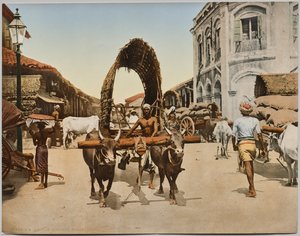 Indie. Cejlon. Colombo. Pouliční scéna podle fotografie Dr. Kurta Boecka