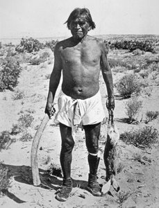 Hopi Hunter (černobílá fotografie) od Photographer American