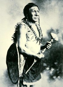 Bílá labuť, válečník (černobílá fotografie) od Photographer American