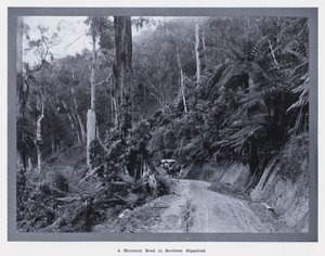Horská cesta v jižním Gippslandu (černobílá fotografie) od Photographer Australian