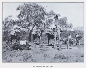 Artéská nudná párty (černobílá fotografie) od Photographer Australian