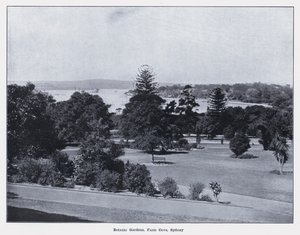 Botanické zahrady, Farm Cove, Sydney (černobílá fotografie) od Photographer Australian