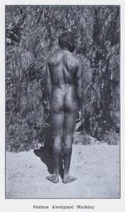 Zvědavé domorodé značení (č/b fotografie) od Photographer Australian