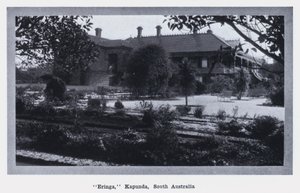 "Eringa," Kapunda, Jižní Austrálie (černobílá fotografie) od Photographer Australian