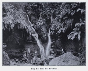 Fairy Dell Falls, Blue Mountains (černobílá fotografie) od Photographer Australian