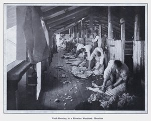 Ruční stříhání v Riverina Woolshed, Merribee (č/b foto) od Photographer Australian