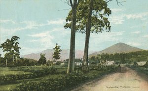 Healesville, Victoria, Austrálie (barevné fotografie) od Photographer Australian