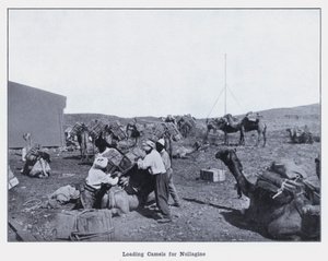 Načítání velbloudů pro Nullagine (černobílá fotografie) od Photographer Australian
