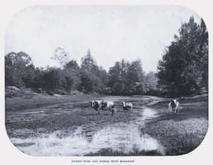 Lockyer Creek, poblíž Laidley, South Queensland (černobílá fotografie) od Photographer Australian