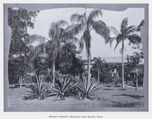 Manažerská rezidence, Státní školka Kamerunga, Cairns (černobílá fotografie) od Photographer Australian