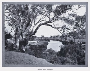 Mitchell River, Bairnsdale (černobílá fotografie) od Photographer Australian