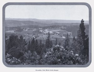 Piccadilly, z Mount Lofty Ranges (černobílá fotografie)
