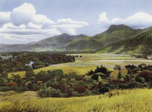 Queensland, Austrálie: Sugar Lands at Mossman (foto) od Photographer Australian