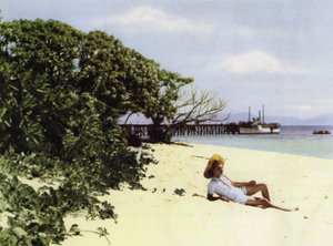 Queensland, Austrálie: The Tropical Beach (foto) od Photographer Australian