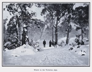 Zima ve viktoriánských Alpách (černobílá fotografie) od Photographer Australian
