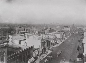 Pohled na Winnipeg z ptačí perspektivy (černobílá fotografie) od Photographer Canadian
