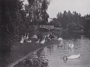 Lake, Beacon Hill Park, Victoria, Britská Kolumbie (černobílá fotografie)
