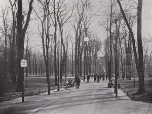 V Tiergarten, Ahornsteig (č/b foto) od Photographer German