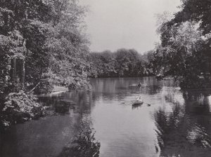 V Tiergarten, Neuer See (č/b foto) od Photographer German