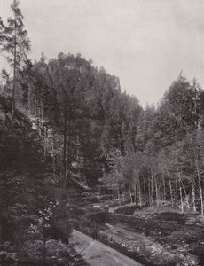 Partie z údolí Polenz (černobílá fotografie) od Photographer German