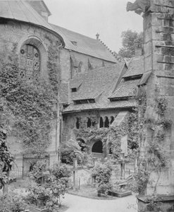 Tausendjahriger Rosenstock (černobílá fotografie) od Photographer German