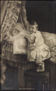 Nový bratr Vilém Pruský s bratrem od Photographer German