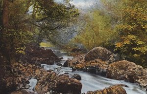 Irsko: V Dargle, hrabství Wicklow (barevné foto) od Photographer Irish