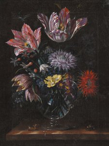 Autor neznámý, Jacob Marrel od Pictufy